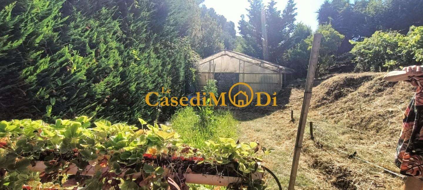  - foto 27