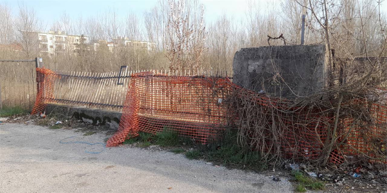 immagine annuncio 3 di 10