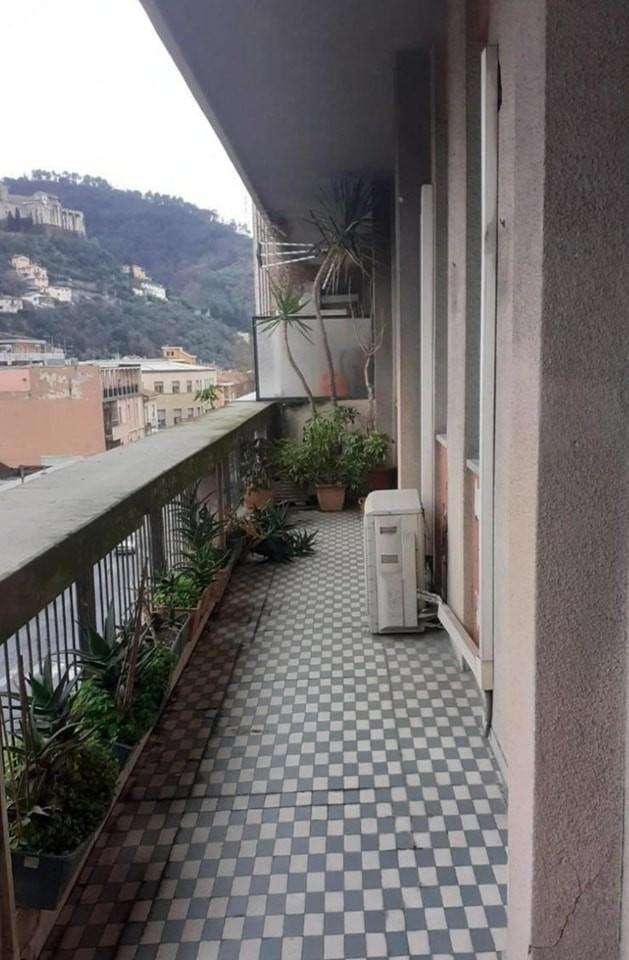  - foto 11