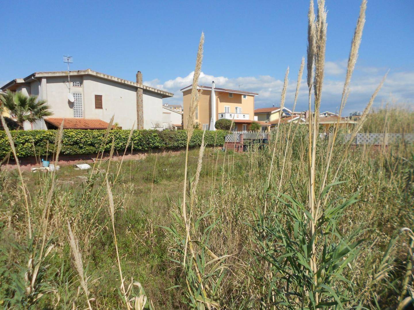 immagine annuncio 2 di 8