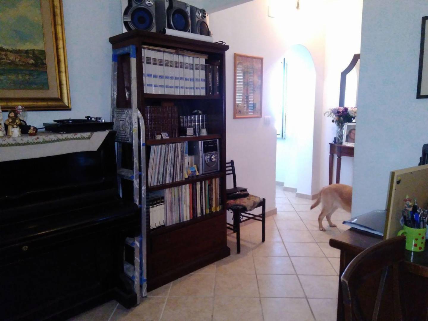 immagine annuncio 6 di 10