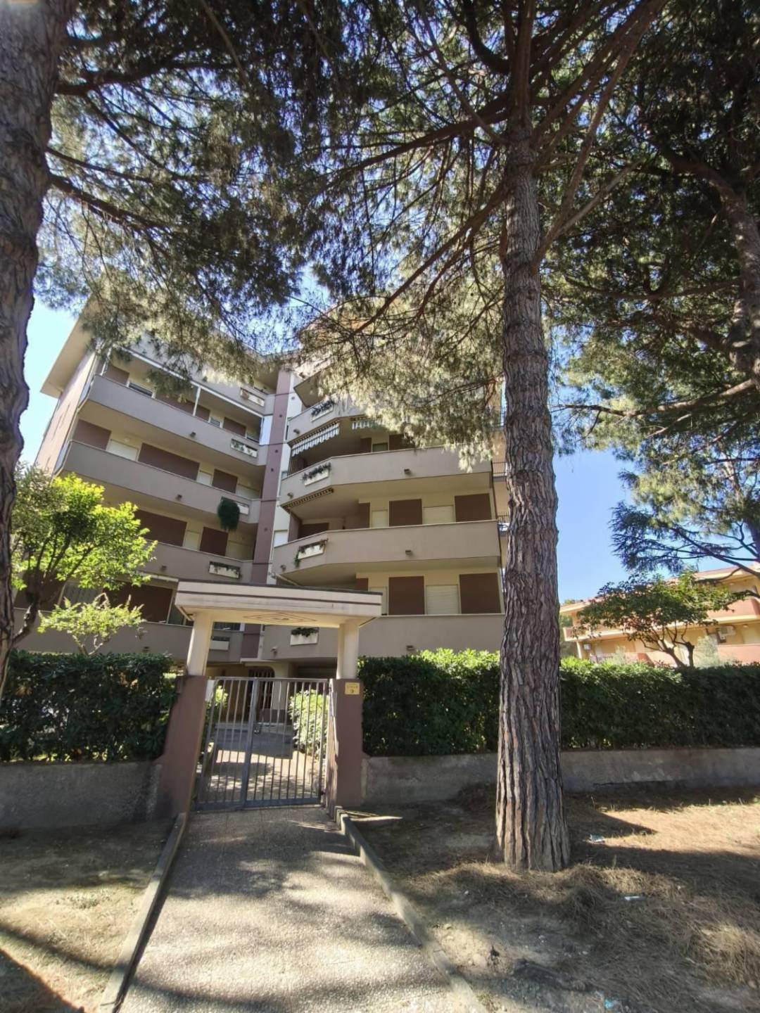 immagine annuncio 4 di 10