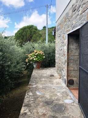 immagine annuncio 5 di 12