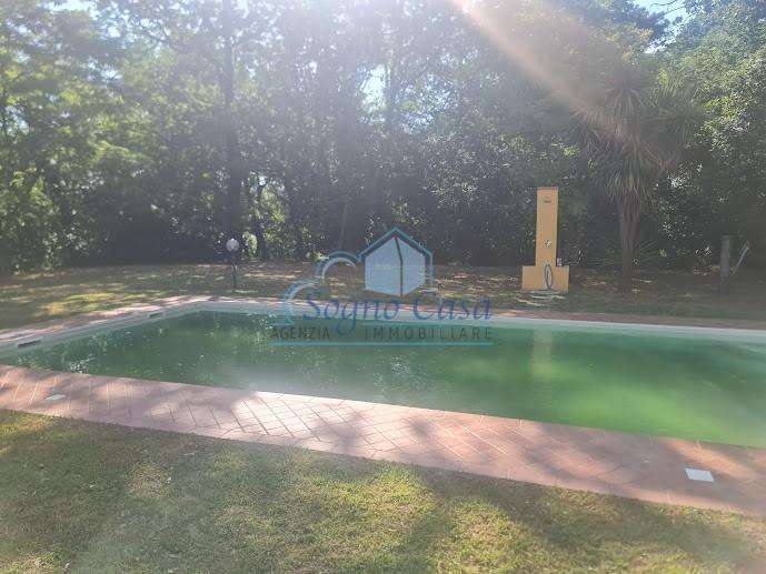  - foto 11