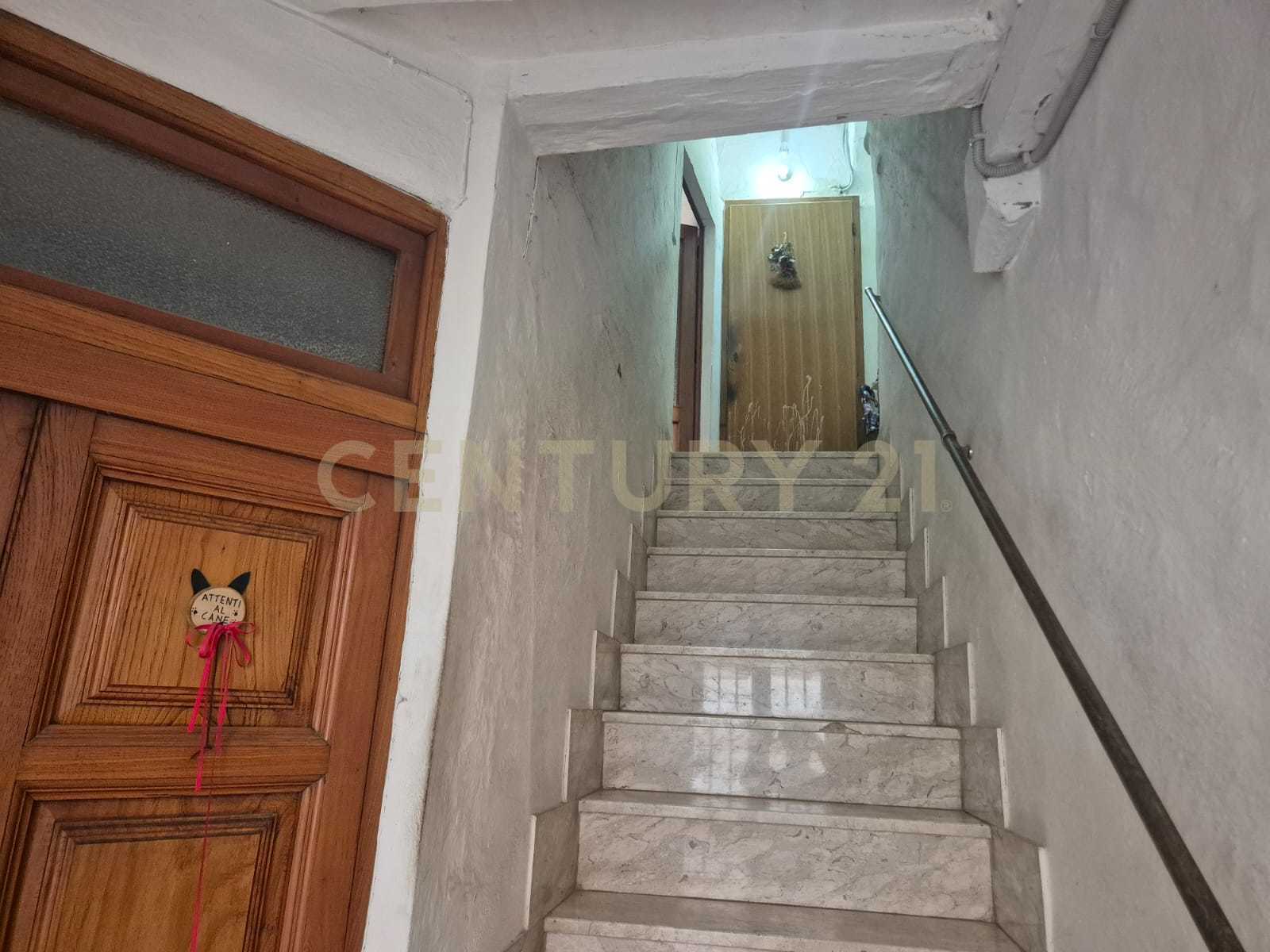 - foto 11