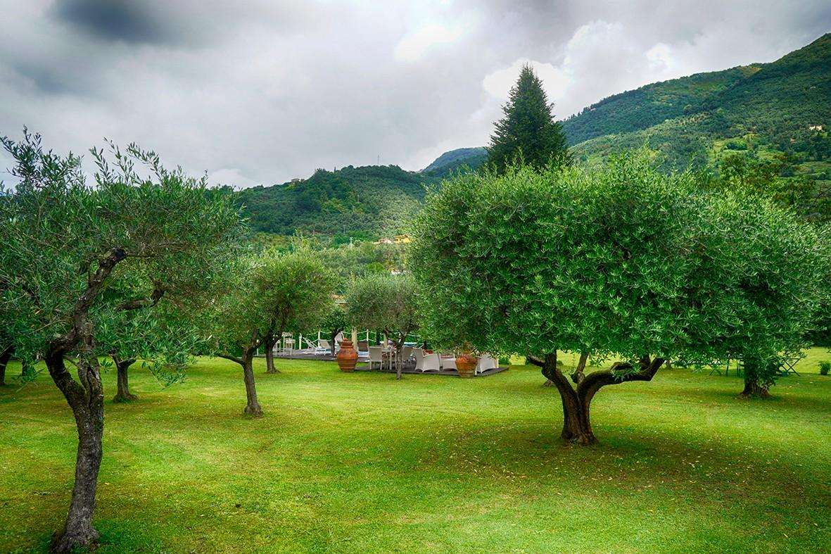  - foto 64