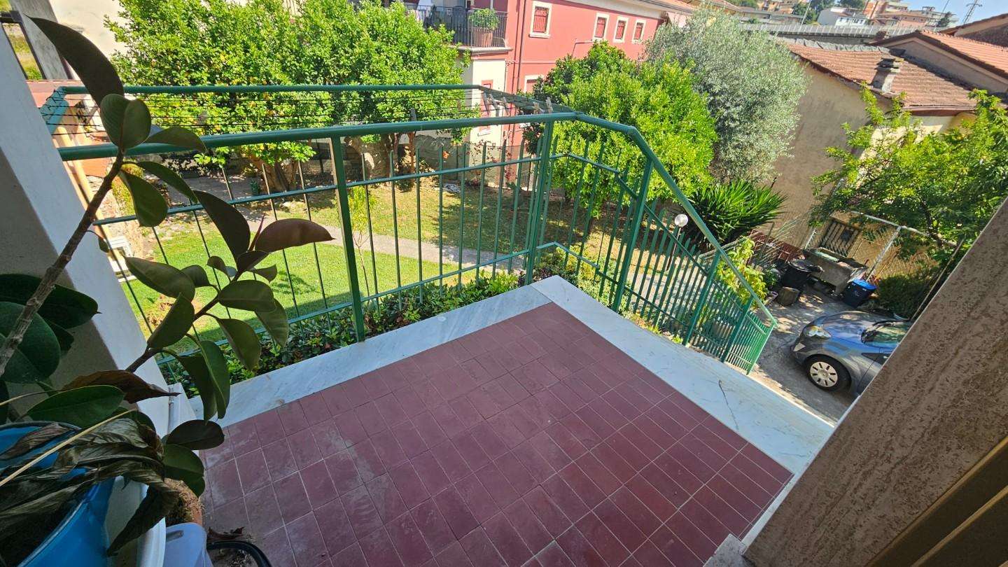 immagine annuncio 7 di 14