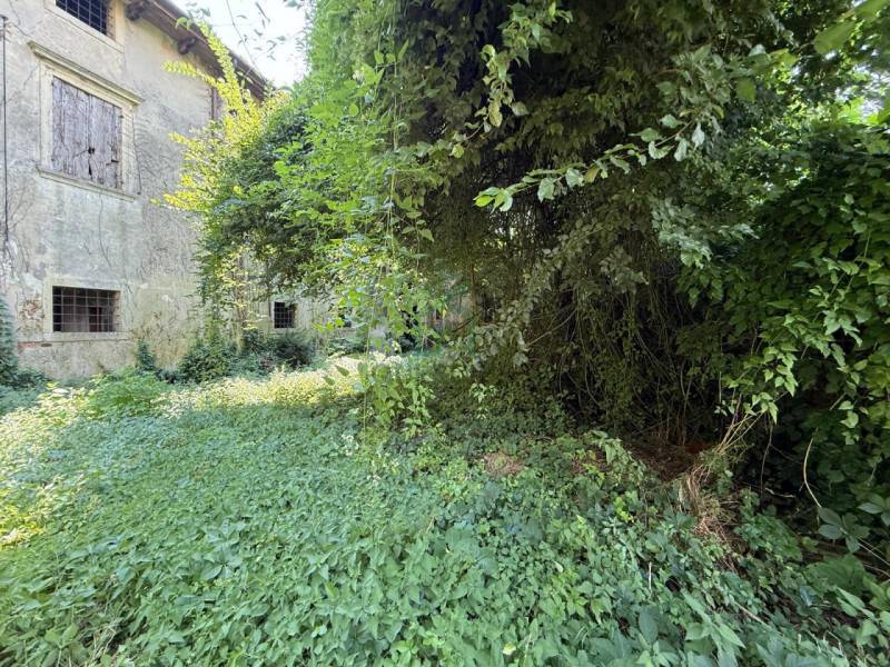 immagine annuncio 5 di 6