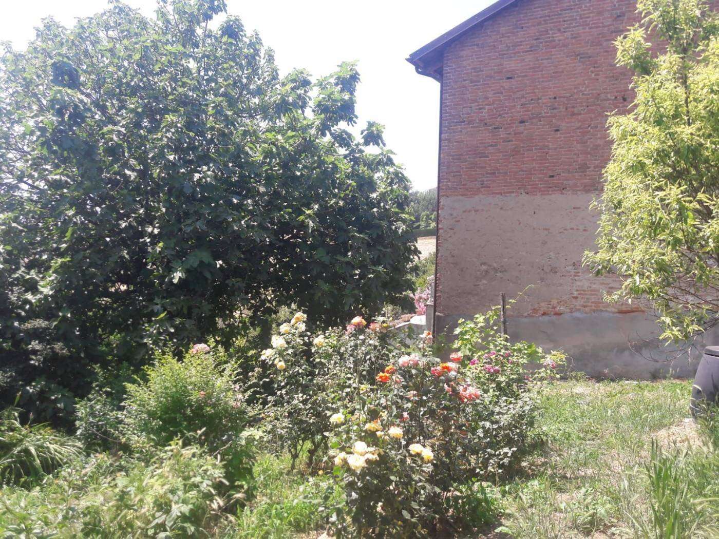 immagine annuncio 6 di 12