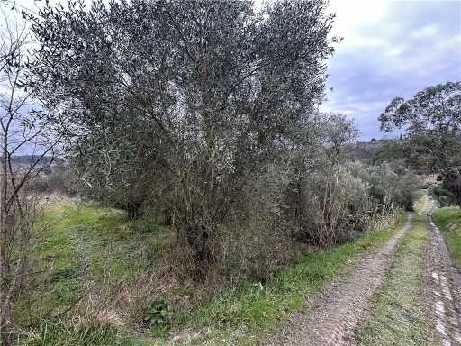  - foto 23