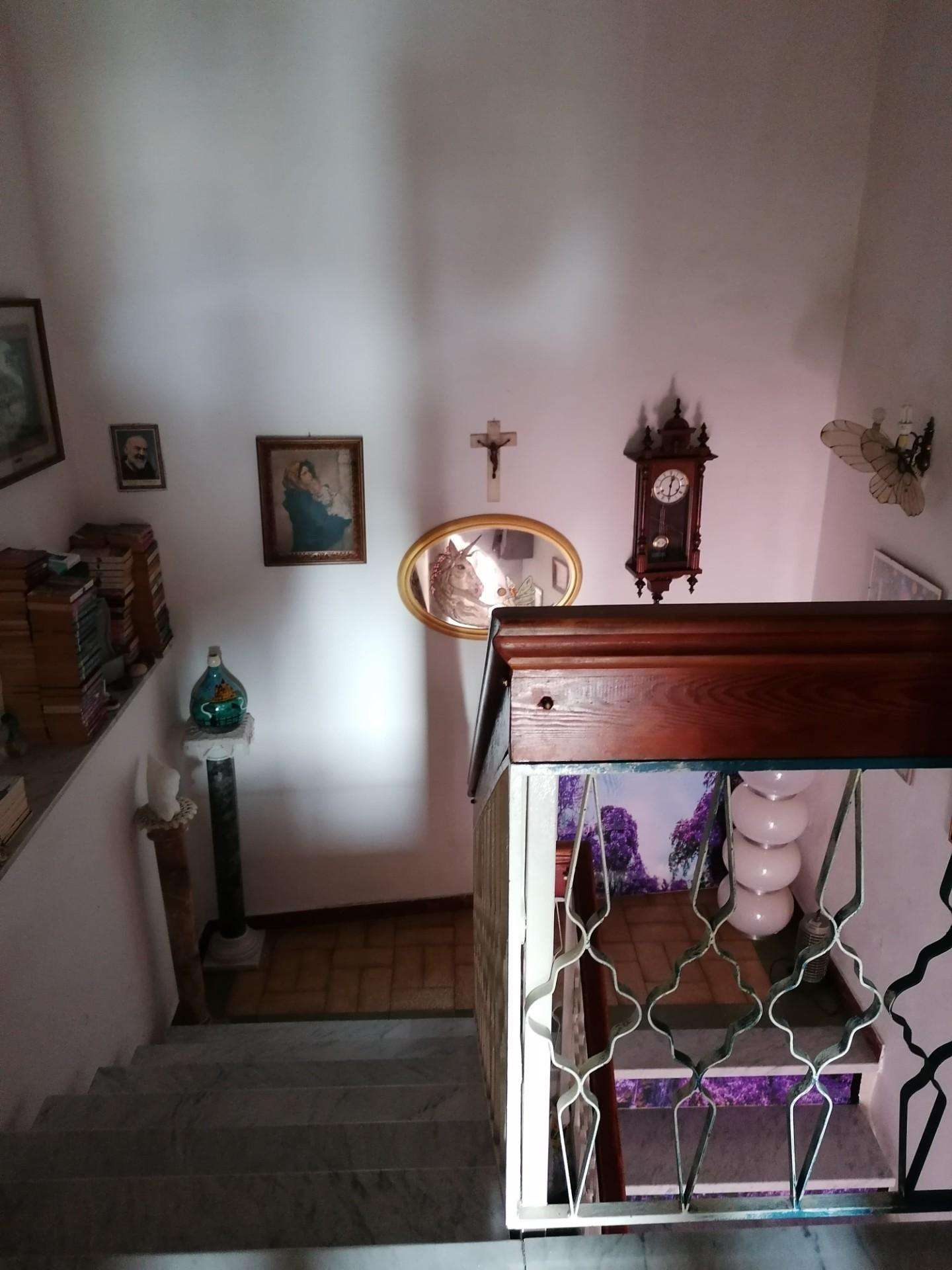  - foto 11