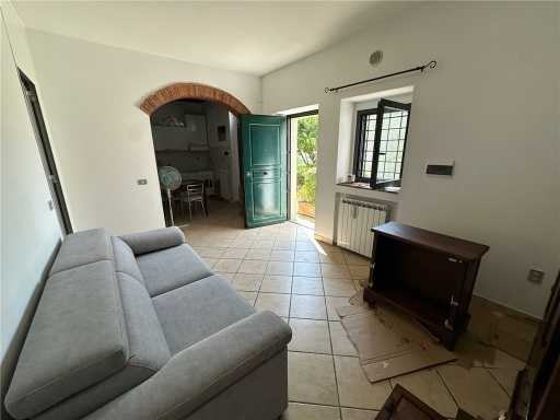  - foto 29
