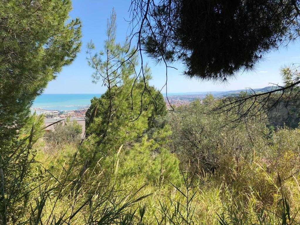 Terreno edificabile Strada comunale Montesecco, Grottammare