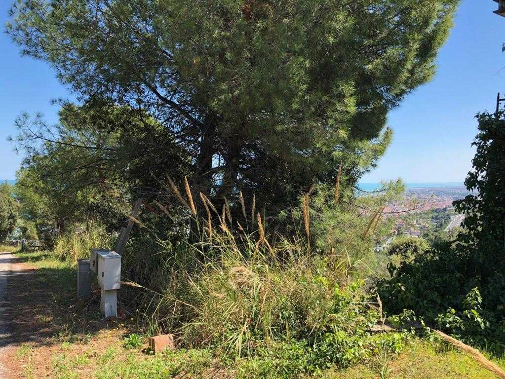  - foto 3