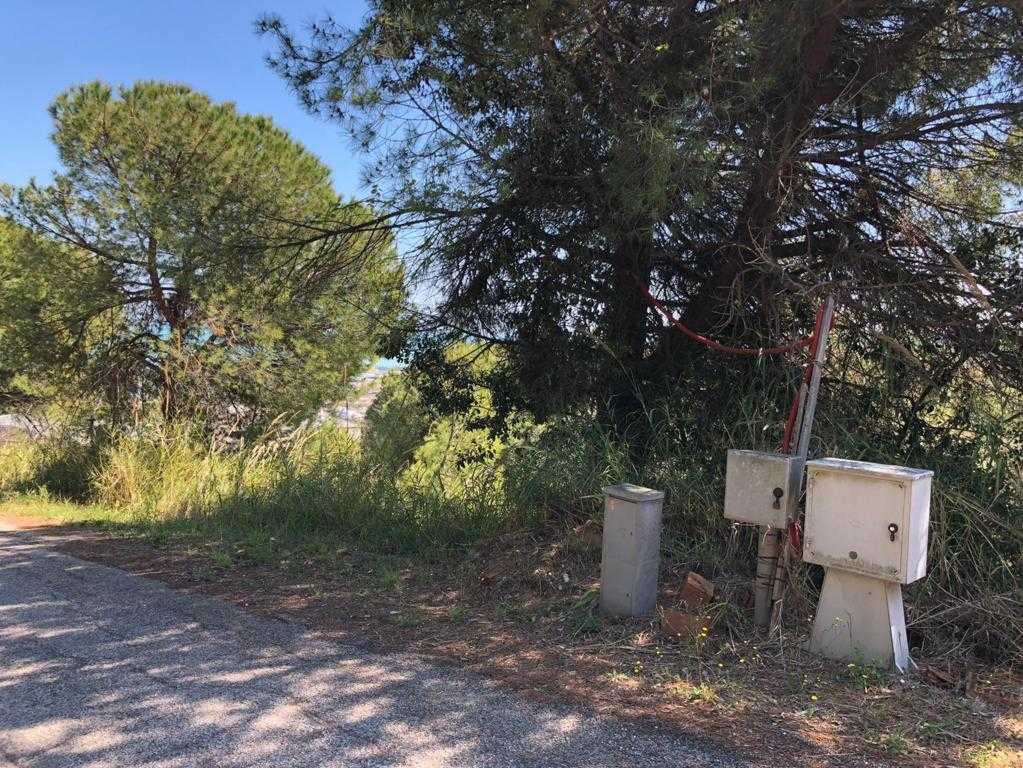  - foto 4