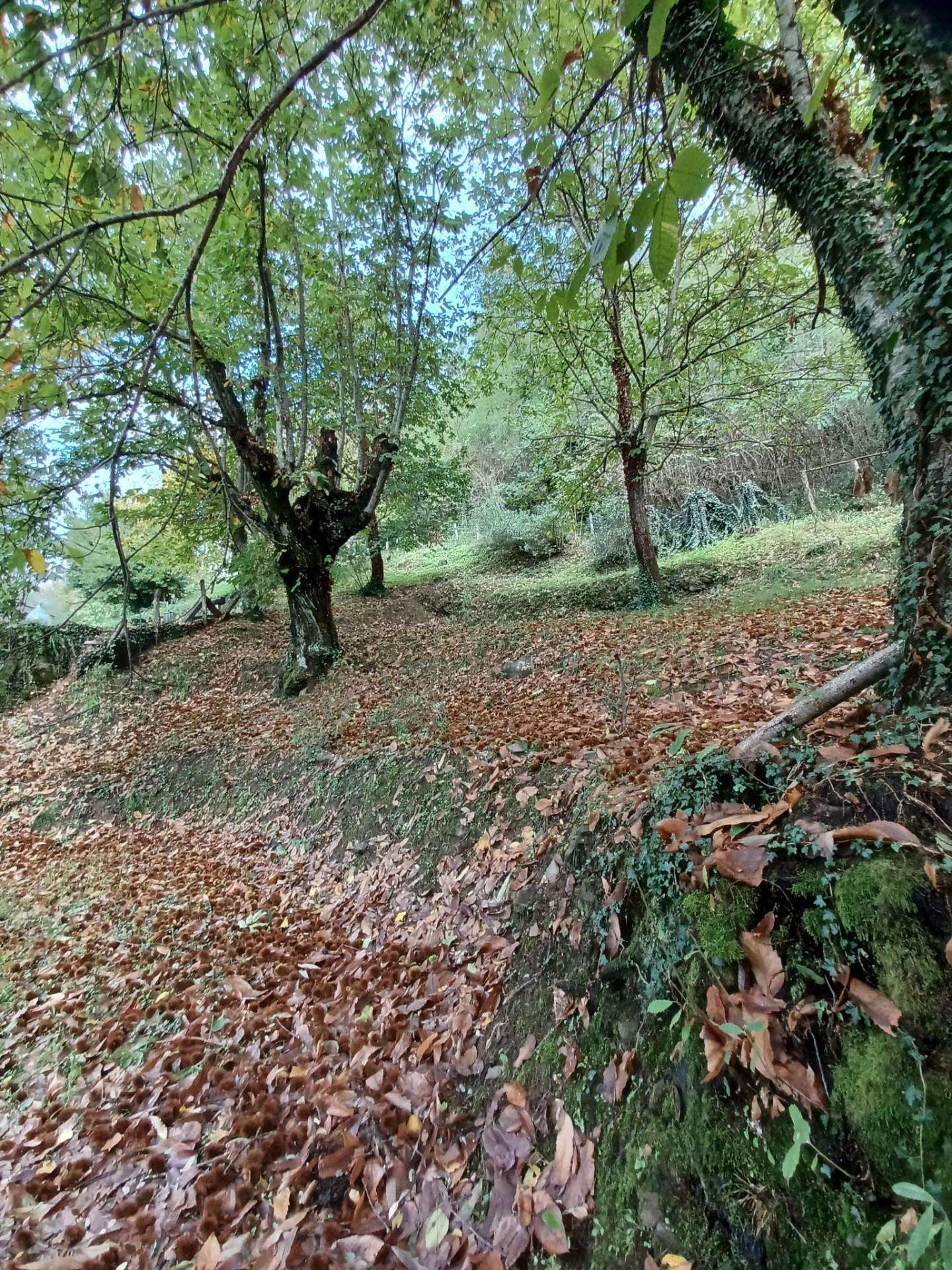  - foto 64