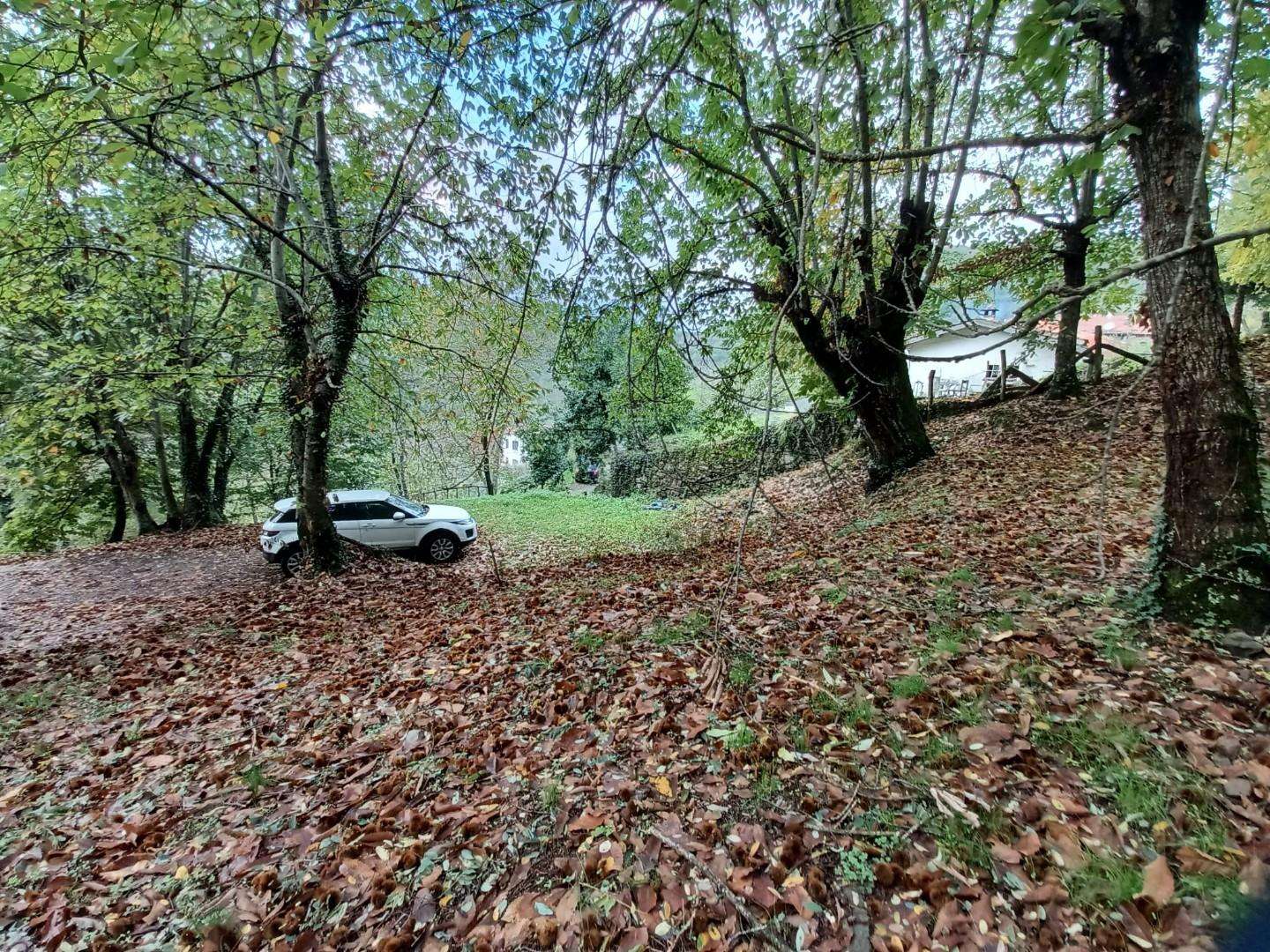  - foto 68
