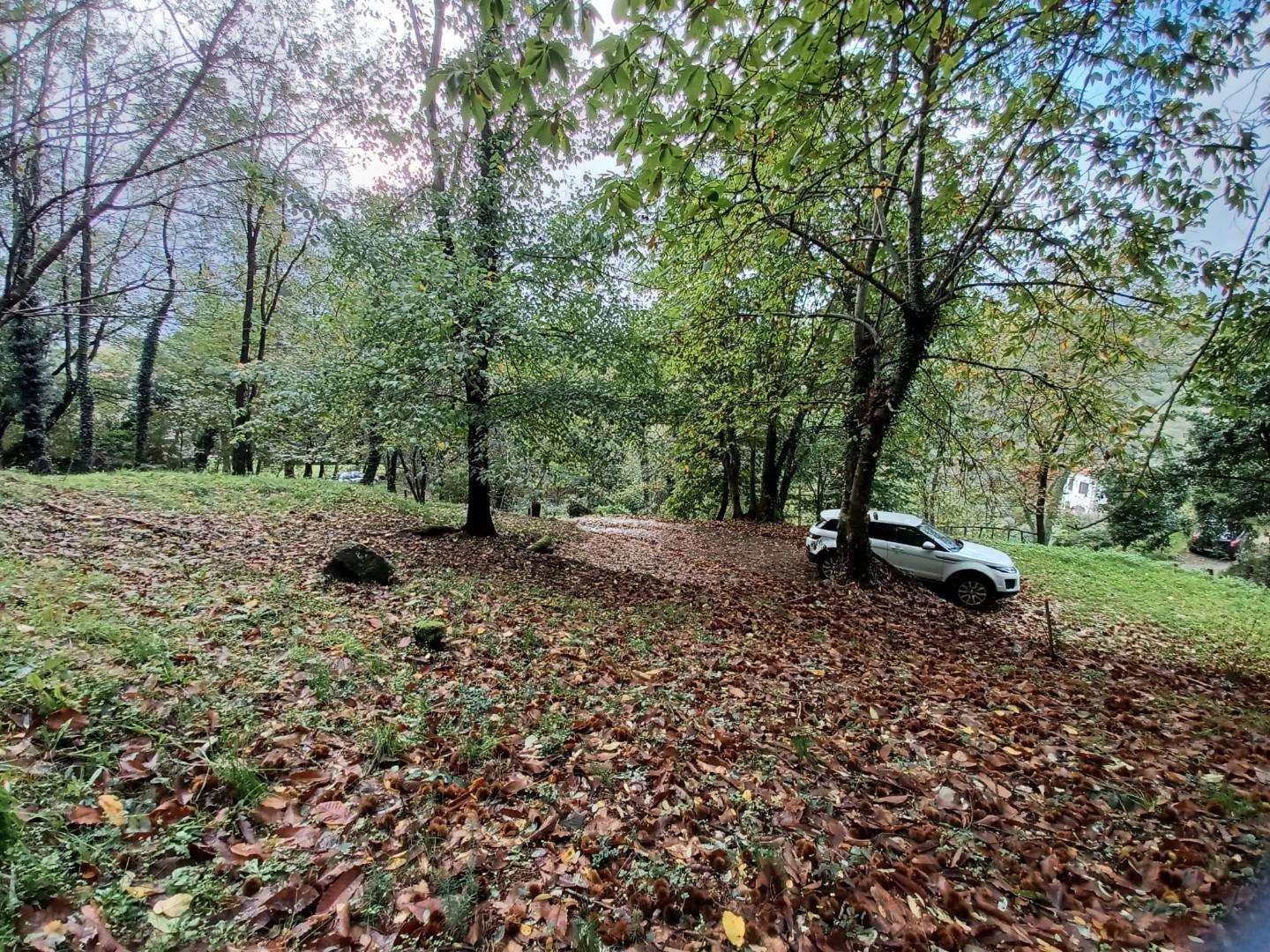  - foto 69