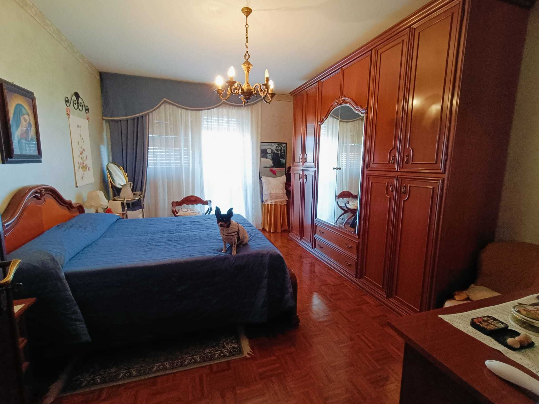  - foto 13