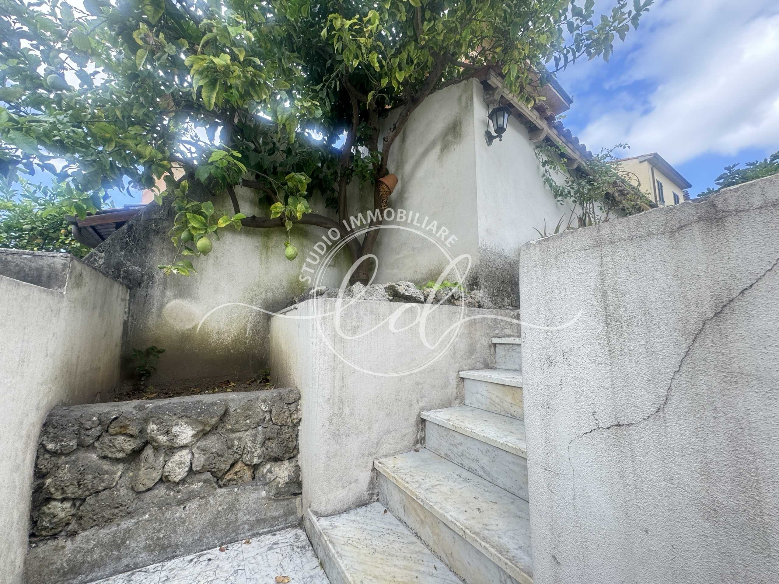  - foto 61