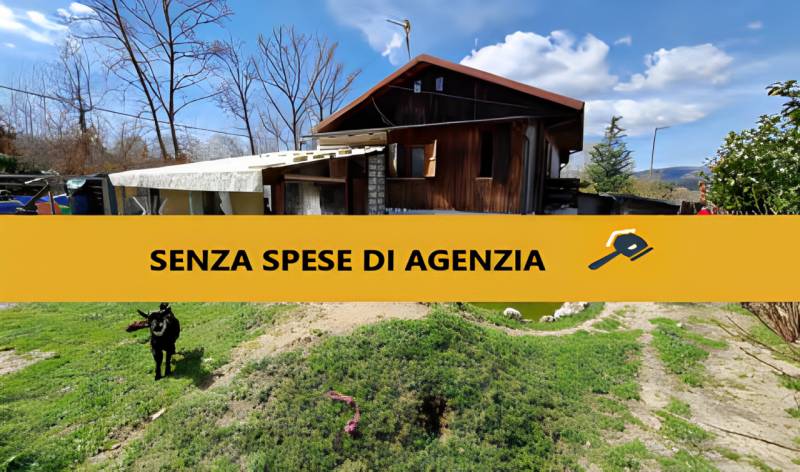 immagine annuncio 3 di 10