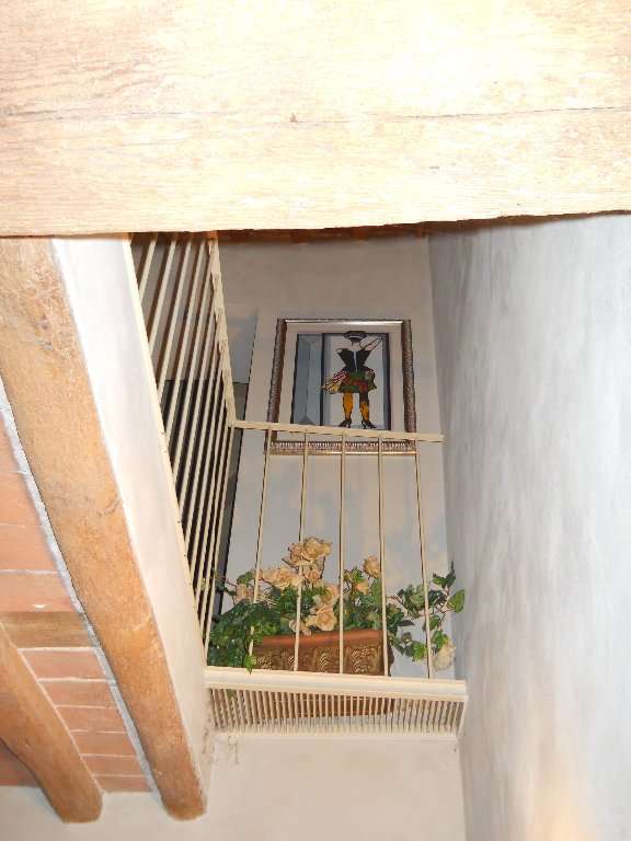  - foto 13