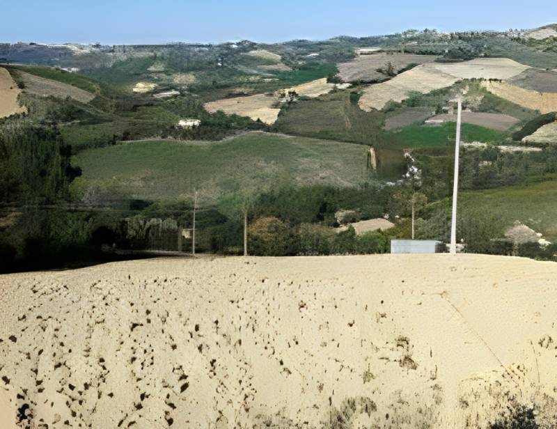 immagine annuncio 2 di 7