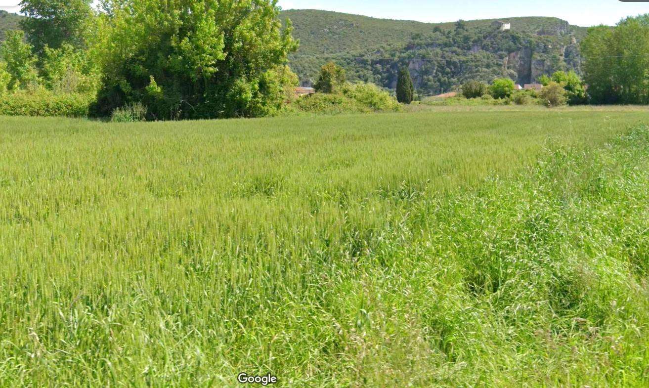 Terreno agricolo Vecchiano PI,, Vecchiano