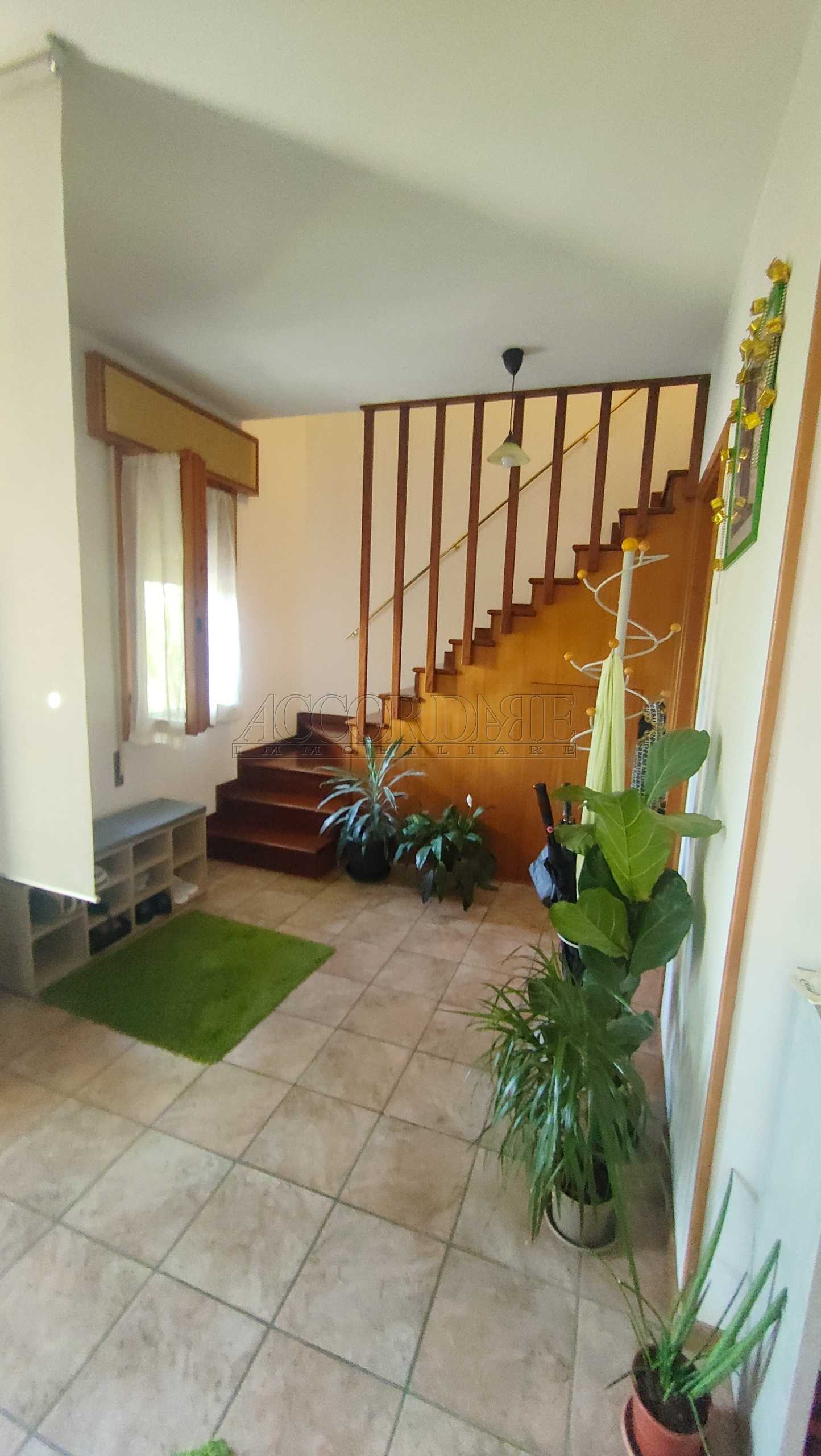  - foto 13