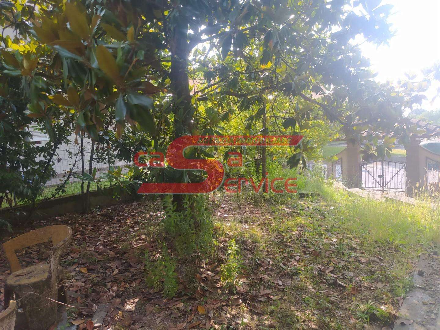  - foto 5
