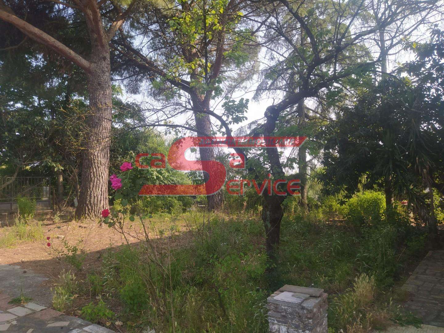  - foto 8
