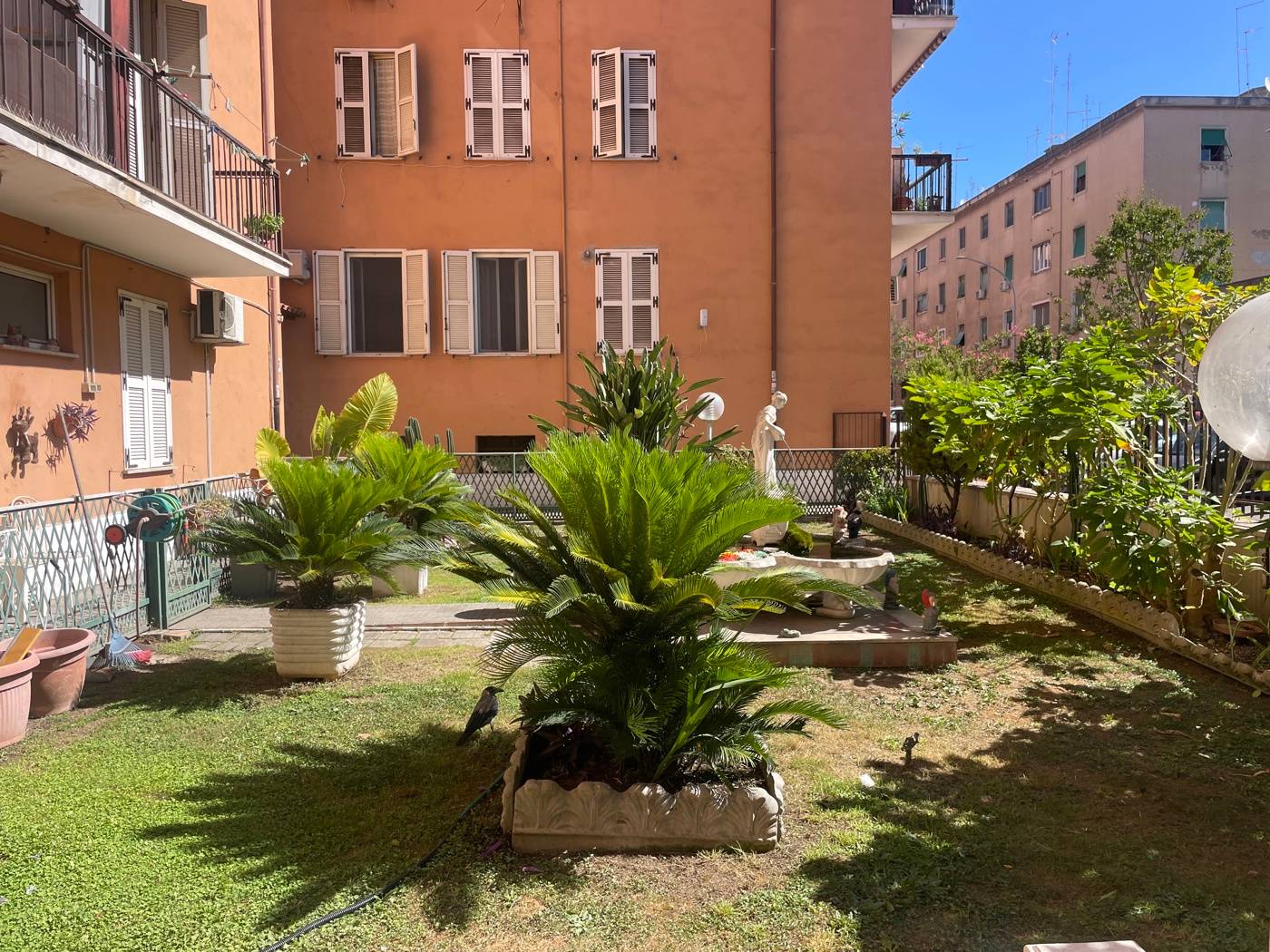 immagine annuncio 6 di 10
