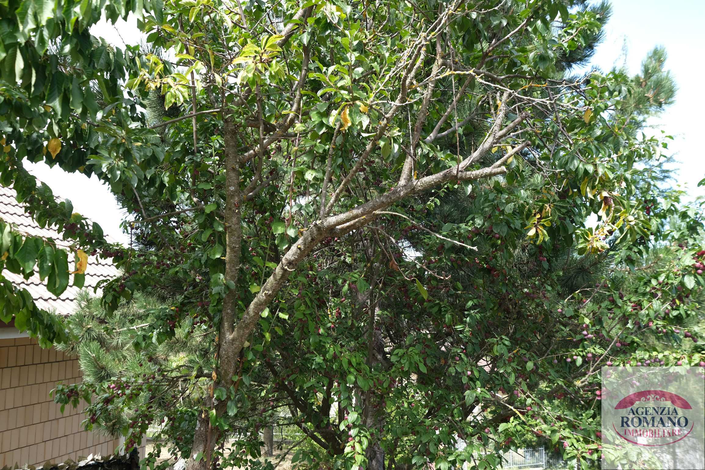  - foto 8