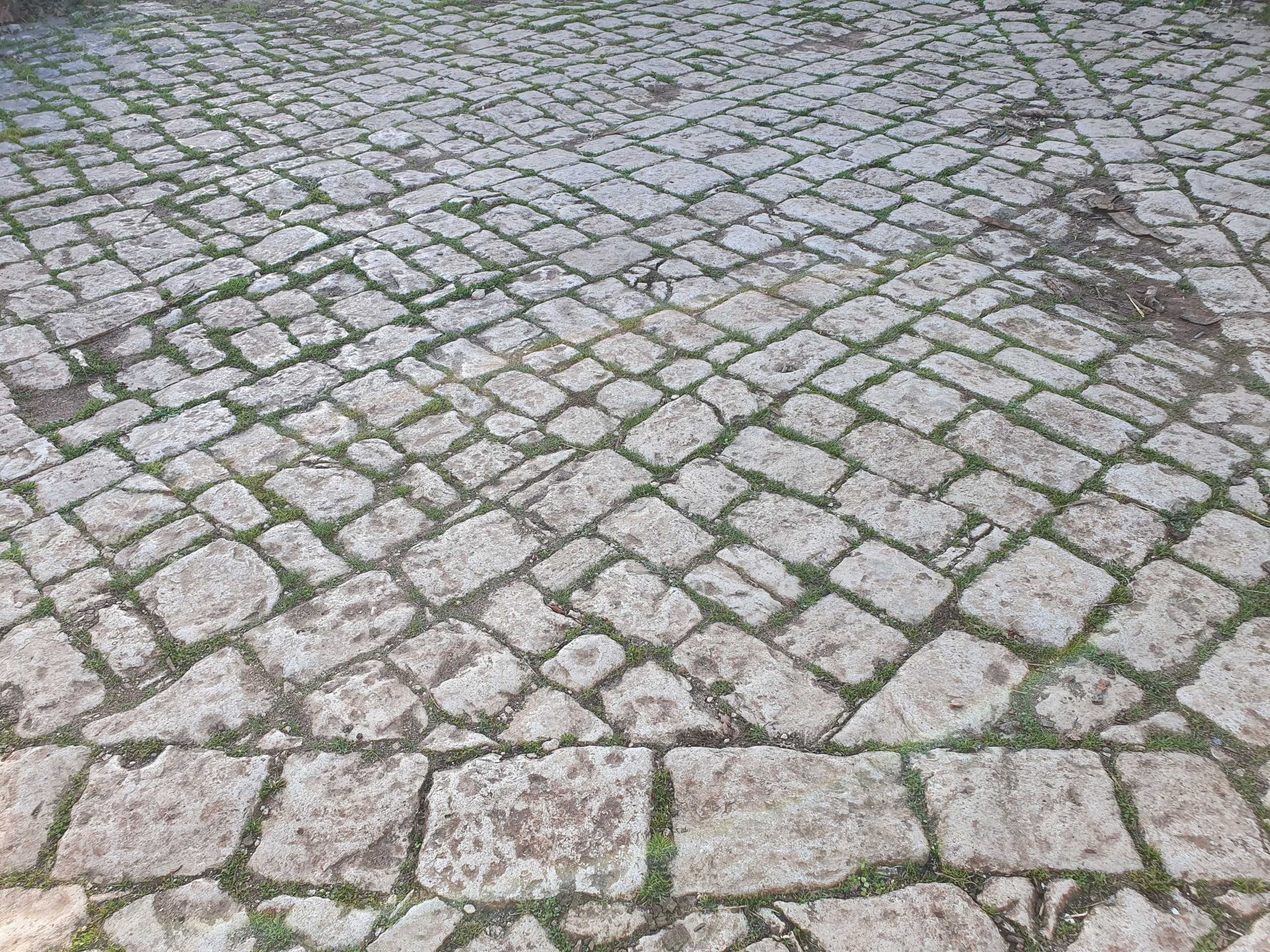  - foto 25