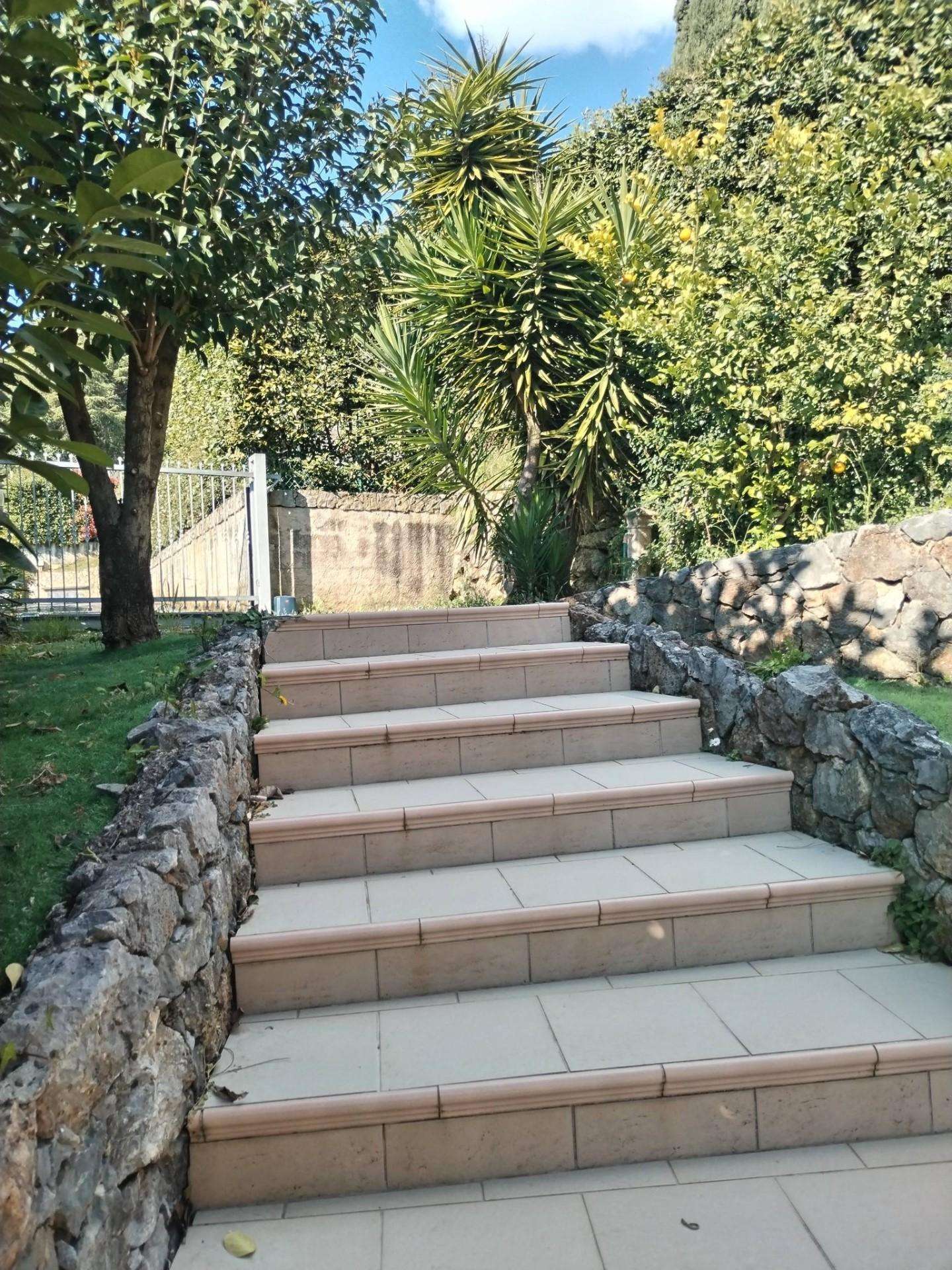 - foto 14