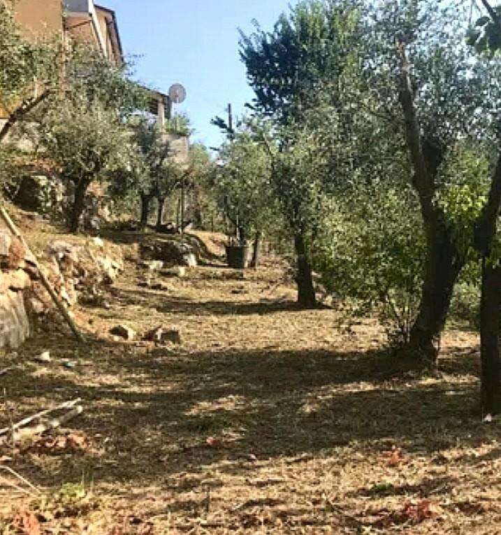 immagine annuncio 8 di 12