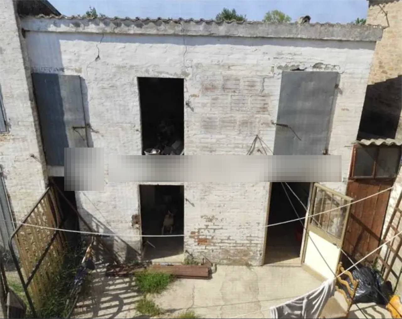 immagine annuncio 1 di 10