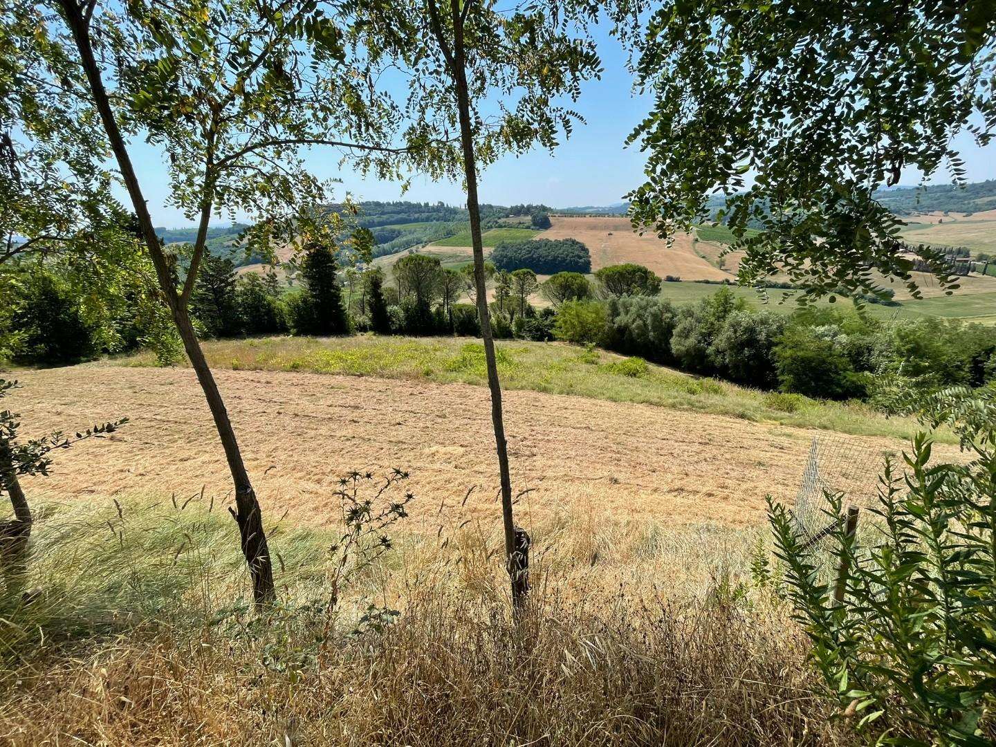  - foto 40