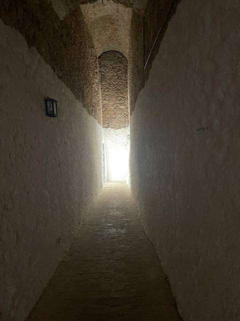  - foto 16
