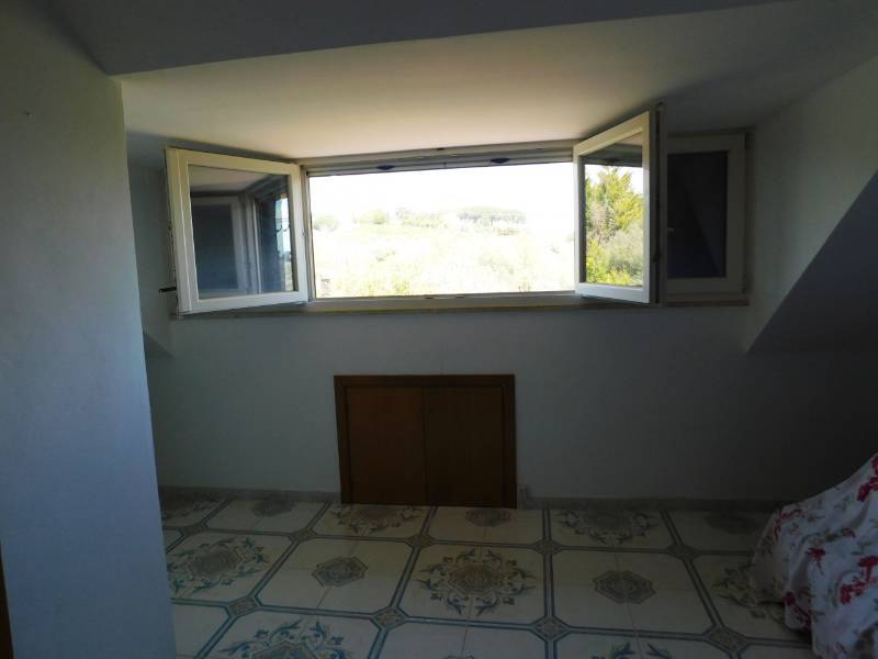  - foto 50