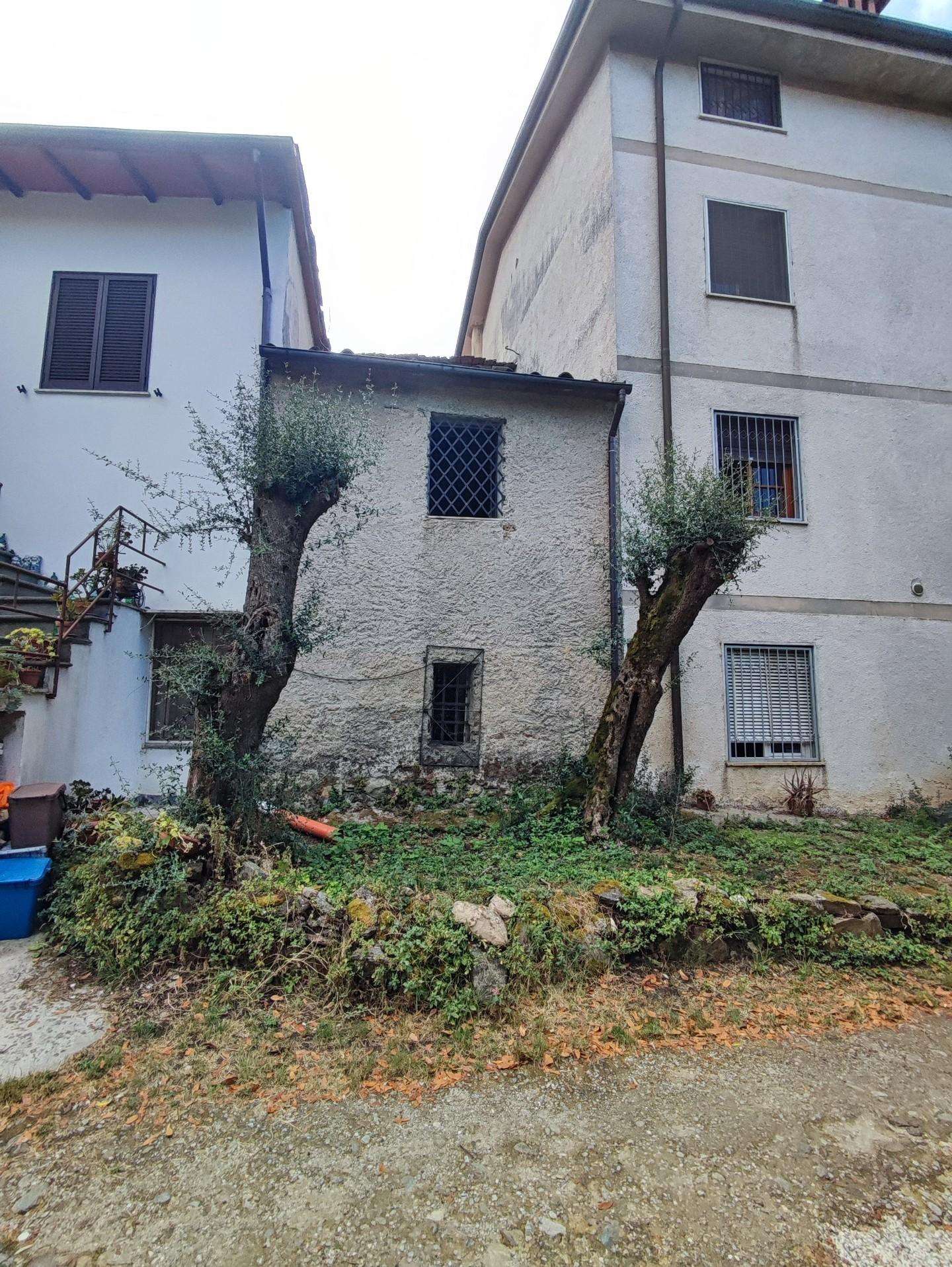 Palazzo - Stabile Via Roma,, Montignoso