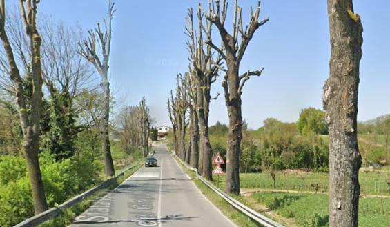 immagine annuncio 8 di 10