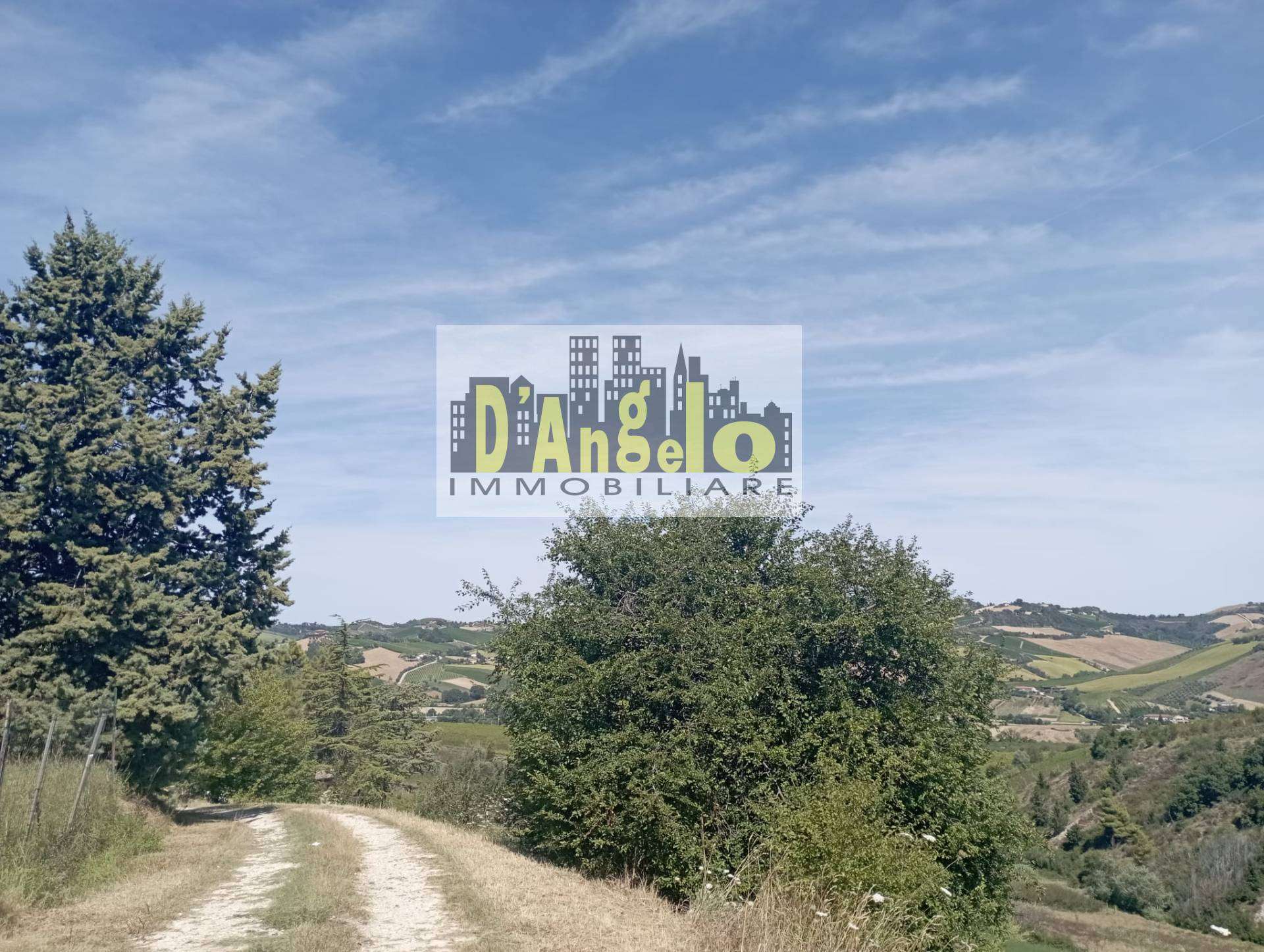  - foto 6
