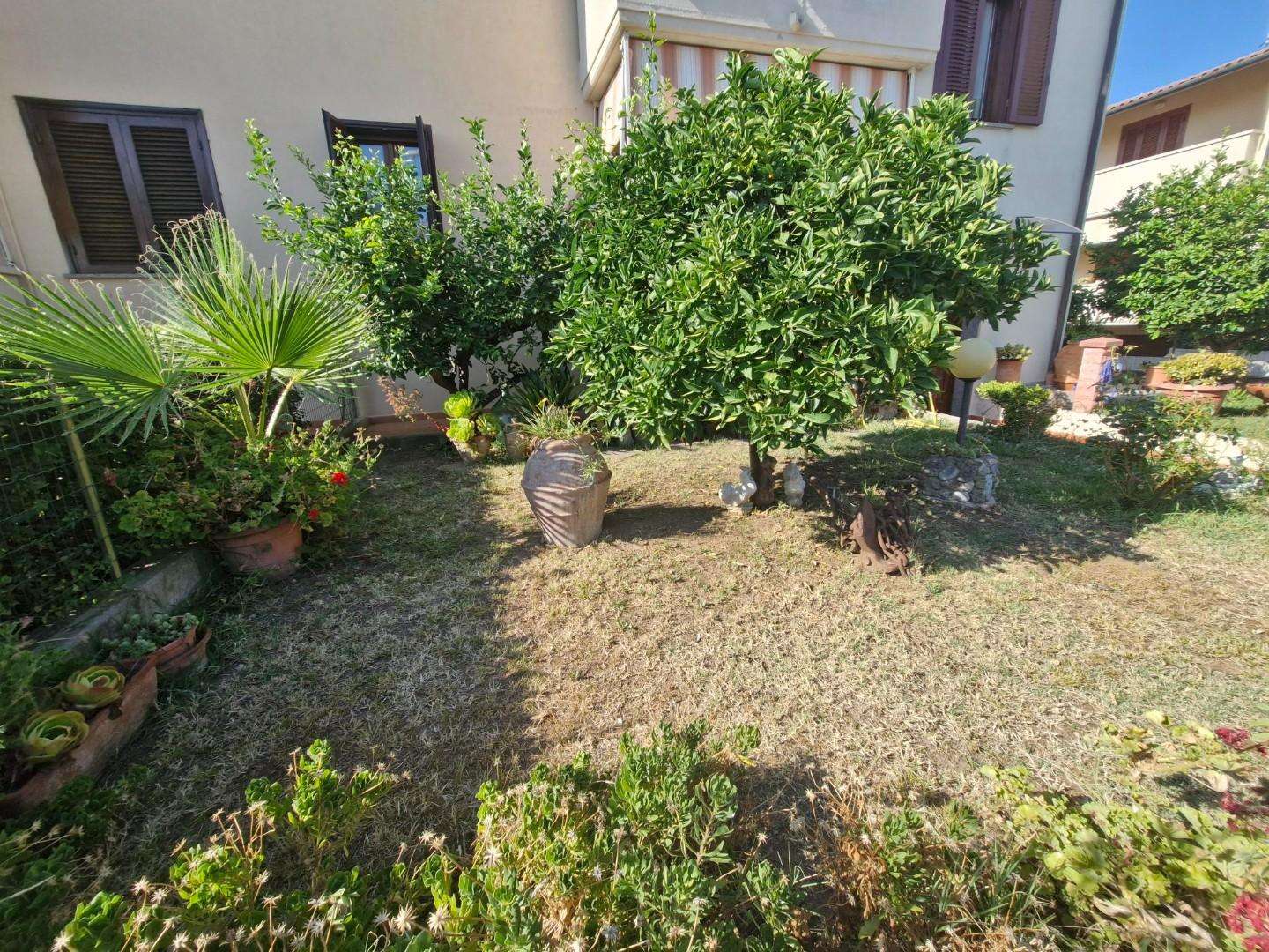  - foto 37