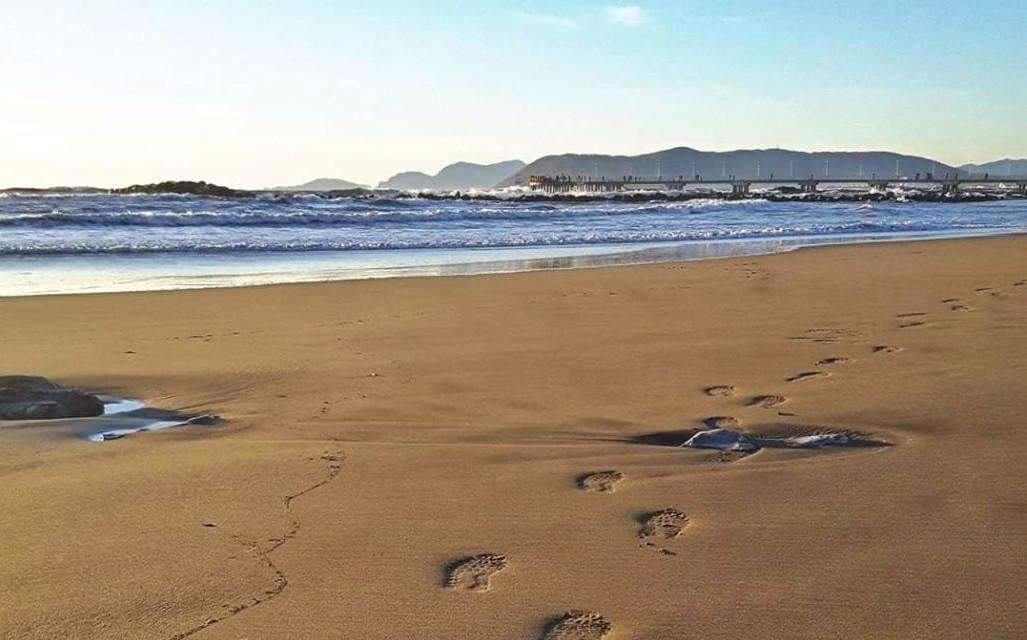 Attività  commerciale Lungomare di Levante,, Massa