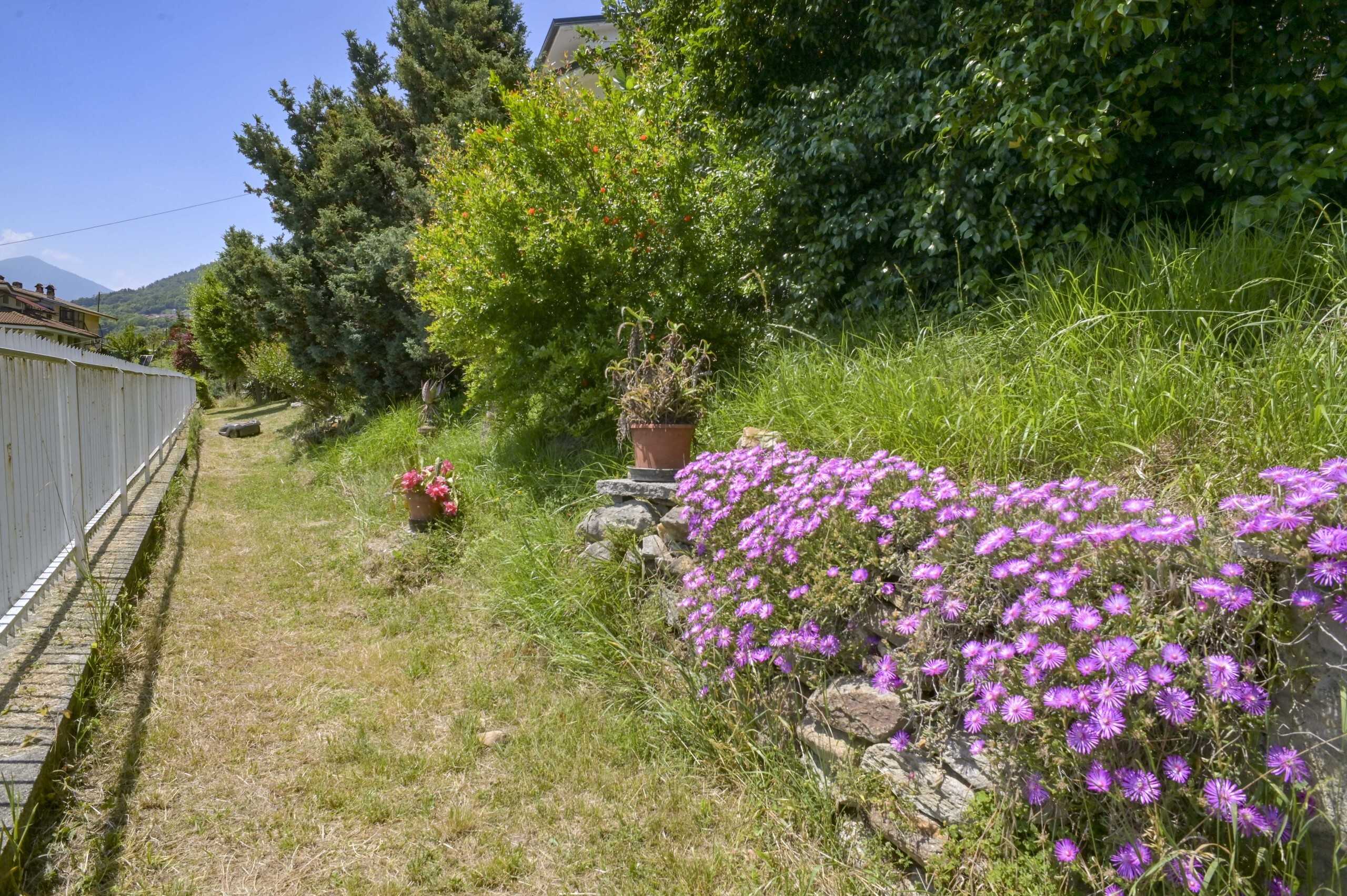  - foto 16