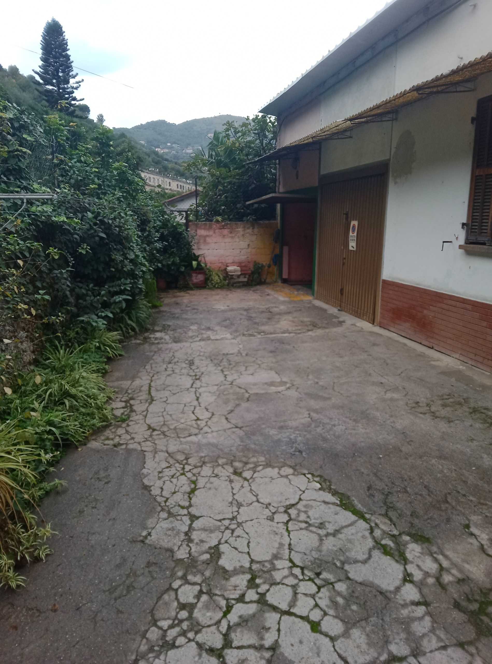  - foto 31