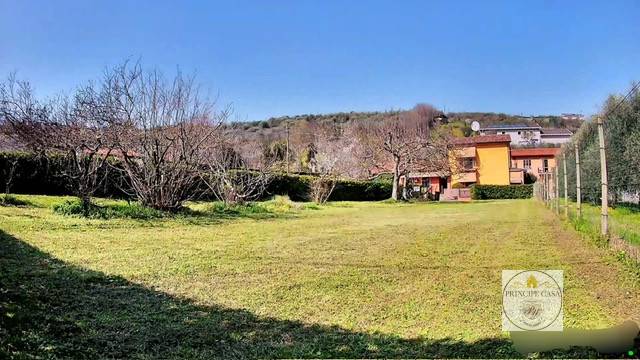 immagine annuncio 5 di 8