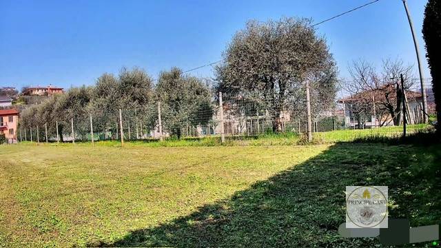 immagine annuncio 7 di 8