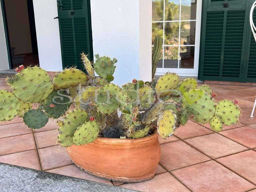  - foto 39